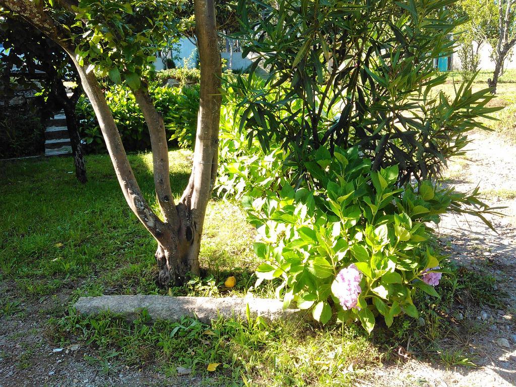 Villa Casa Do Fiscal Barroselas Zimmer foto